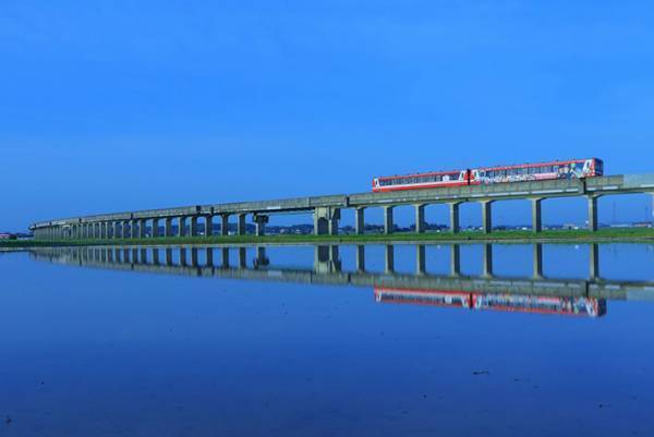 田んぼが作り出す絶景に「ただただ美しい」の声　少しの期間しか見られない光景とは
