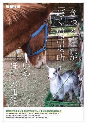 エサ箱の中で落ち着くヤギ　それを見た馬の絶妙な『ツッコミ』がこちらです