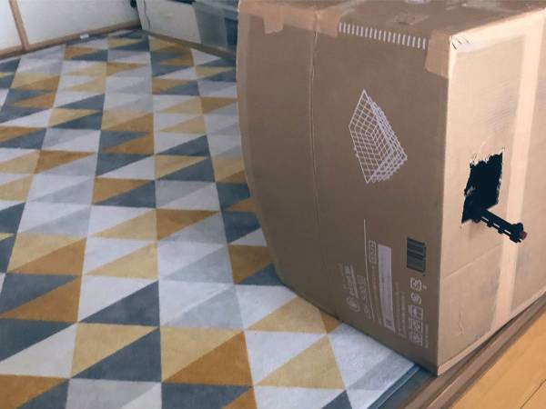 『名探偵コナン』を見た、小学１年生の息子　その後に「可愛すぎ」の声が続出！