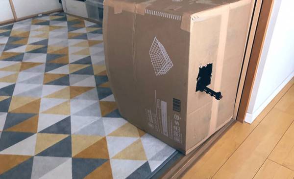 『名探偵コナン』を見た、小学１年生の息子　その後に「可愛すぎ」の声が続出！