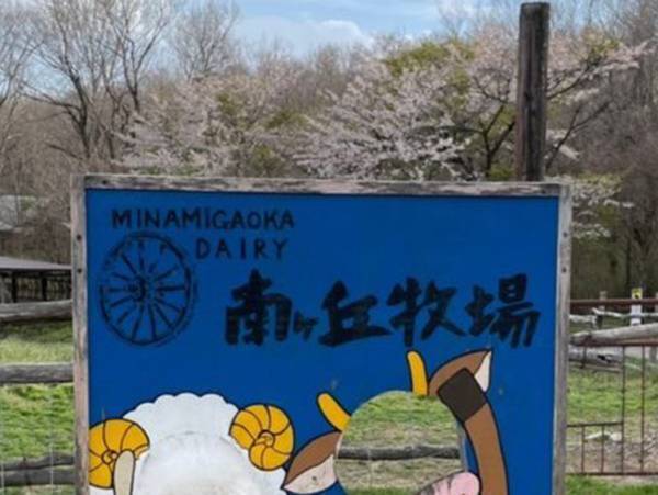 愛犬を撮影した１枚に反響　「顔出しパネルが似合いすぎる」「笑った」