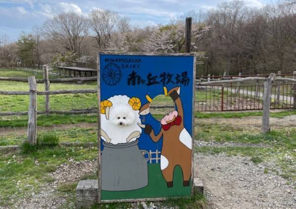 愛犬を撮影した１枚に反響　「顔出しパネルが似合いすぎる」「笑った」