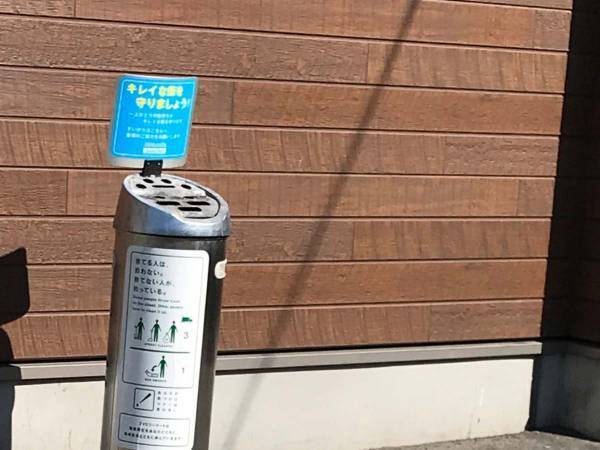 かわいい猫がいると思ったら…！？　その正体に「これは間違える」「笑った」