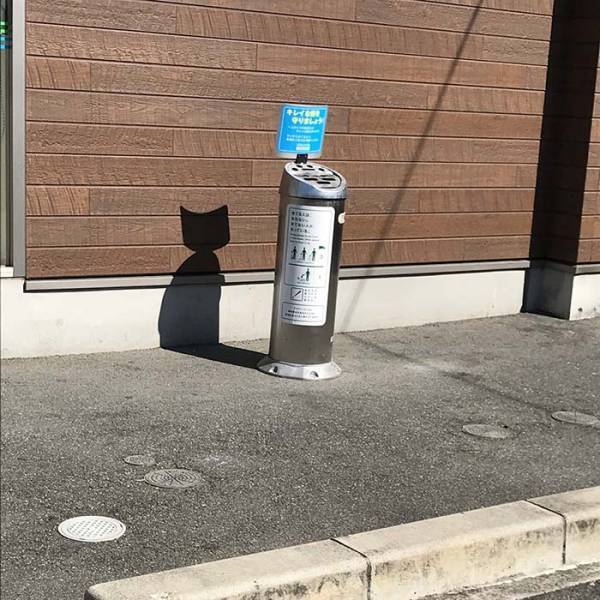 かわいい猫がいると思ったら…！？　その正体に「これは間違える」「笑った」