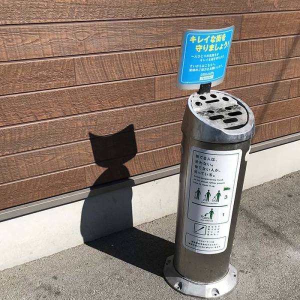 かわいい猫がいると思ったら…！？　その正体に「これは間違える」「笑った」