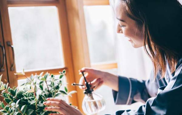 この不自由さの中で、心地のいい『楽園』を作ること　無理をせず、自分に優しく