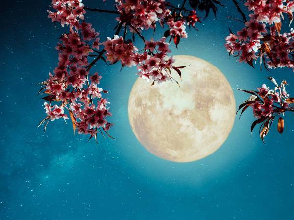 ４月２７日は年に一度の『願いが叶う』ピンクムーン！　見え方や時間をチェック