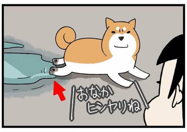 砂浜に寝そべる柴犬　飼い主が注意すると？