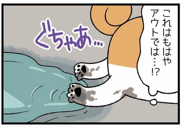 砂浜に寝そべる柴犬　飼い主が注意すると？