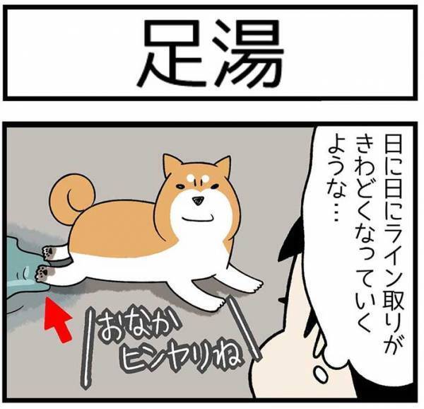 砂浜に寝そべる柴犬　飼い主が注意すると？