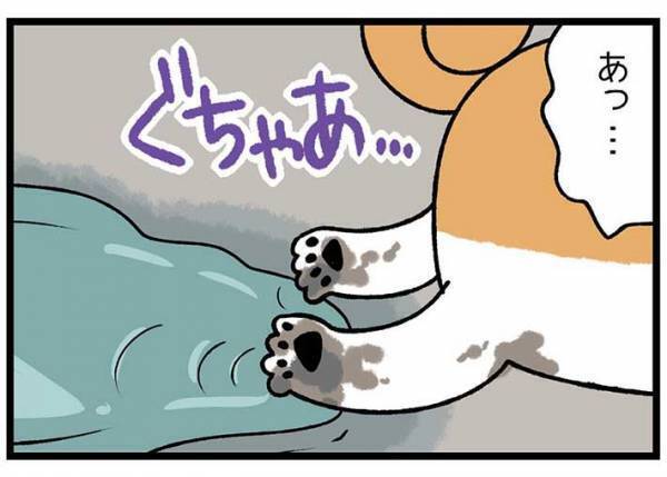 砂浜に寝そべる柴犬　飼い主が注意すると？