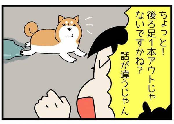 砂浜に寝そべる柴犬　飼い主が注意すると？