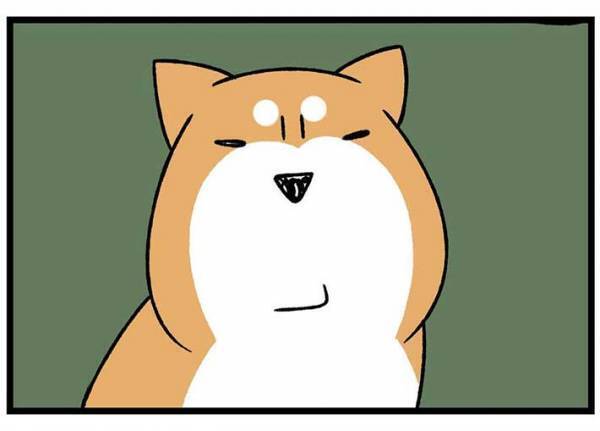 砂浜に寝そべる柴犬　飼い主が注意すると？