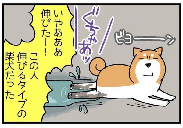 砂浜に寝そべる柴犬　飼い主が注意すると？