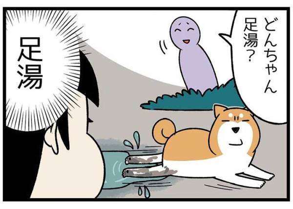 砂浜に寝そべる柴犬　飼い主が注意すると？