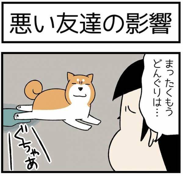 砂浜に寝そべる柴犬　飼い主が注意すると？