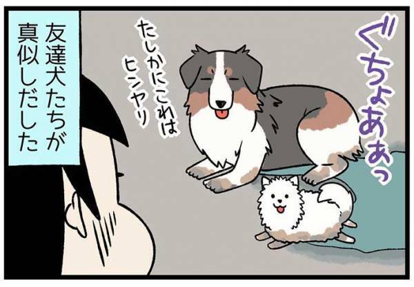 砂浜に寝そべる柴犬　飼い主が注意すると？