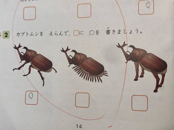 「コレは笑う」「耐えられない」　息子が勉強中に爆笑したワケとは？