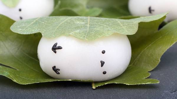 「かわいい」しか出てこない！　大人気のシマエナガが葉に包まれて…？【全３枚】