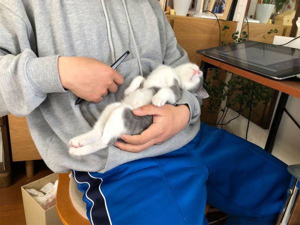 「仕事どころじゃない」　生後３か月の子猫が腕の中で見せる寝顔に反響