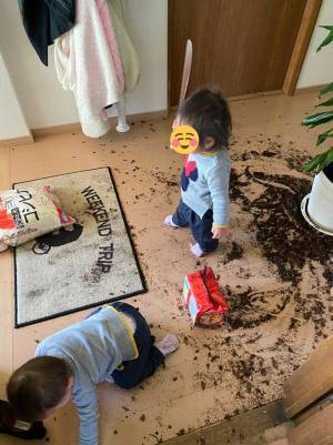 「もう笑うしかない」　楽しそうな１歳の娘、床をよく見ると…