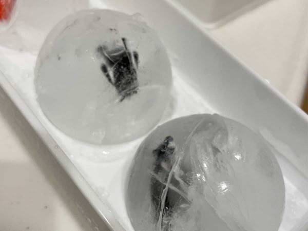 「天才かよ！」「今晩やる」　子供がすぐにお風呂へ入る『アイディア』が話題に