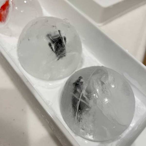 「天才かよ！」「今晩やる」　子供がすぐにお風呂へ入る『アイディア』が話題に