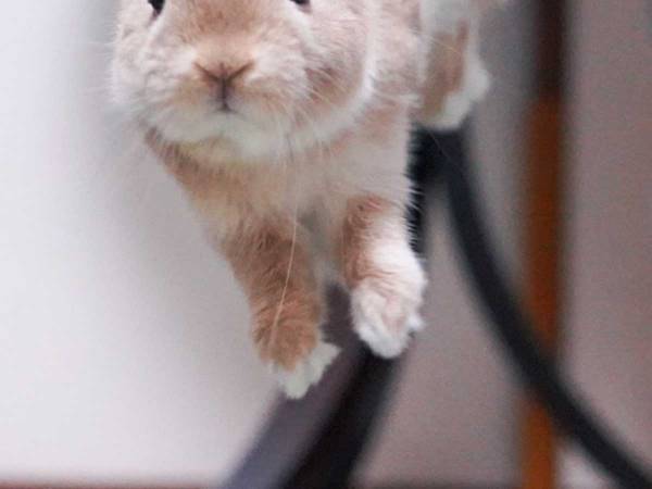 ビフォーアフターに吹き出す！　GW前と現在を比較した２枚が話題に