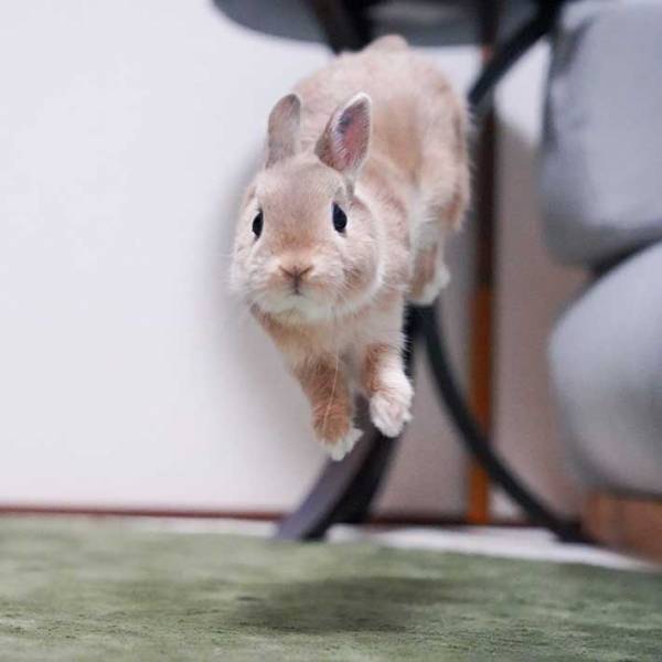 ビフォーアフターに吹き出す！　GW前と現在を比較した２枚が話題に