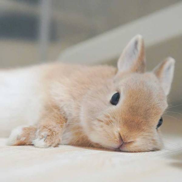 ビフォーアフターに吹き出す！　GW前と現在を比較した２枚が話題に