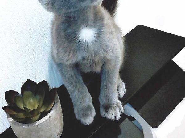 トイレで撮影した１枚に称賛の声　「絵画かと思った」「美しすぎる」