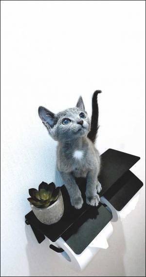 トイレで撮影した１枚に称賛の声　「絵画かと思った」「美しすぎる」