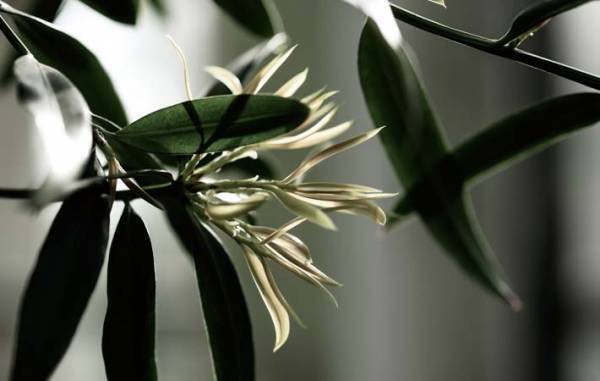 自分の可能性を広げる意味でも、見識を広める意味でも、目を転じてみよう