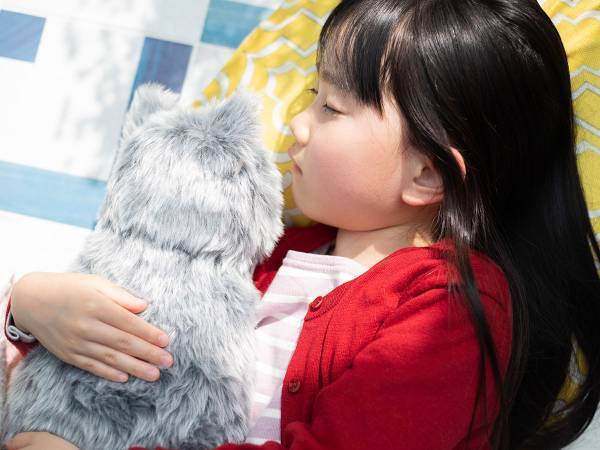 本物の猫のようなクッションが話題　「考えた人にノーベル平和賞を！」