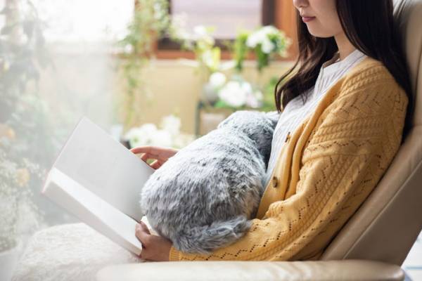 本物の猫のようなクッションが話題　「考えた人にノーベル平和賞を！」