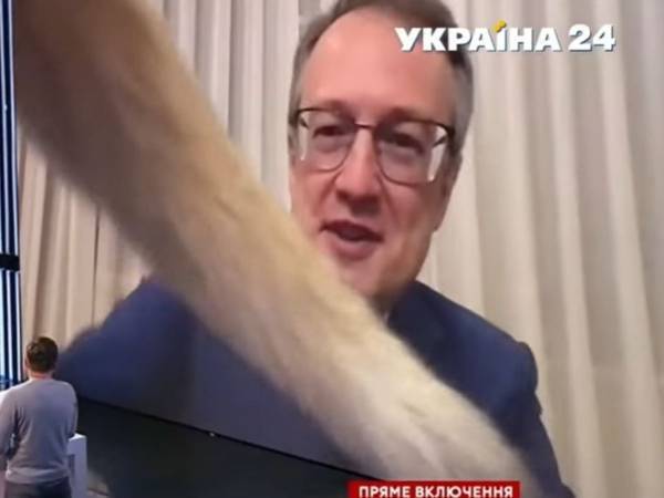 「副内相、お顔の前に何かが…」　テレビ出演中に画面に現れたものに吹き出す！