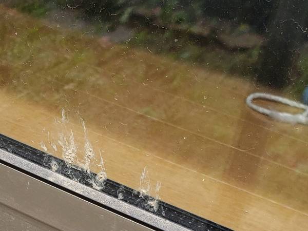 『不審者』に家主が「また来て」と強気の発言　そのワケは？