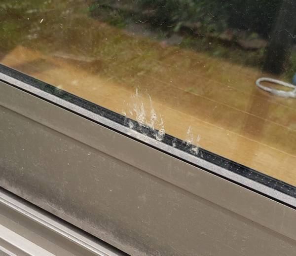 『不審者』に家主が「また来て」と強気の発言　そのワケは？