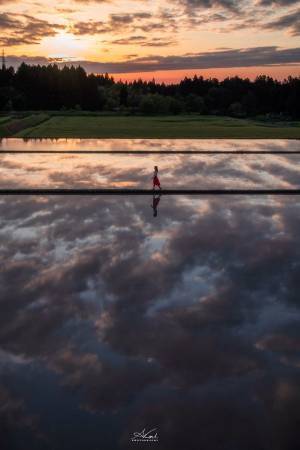 美しく、懐かしい光景　田植え前の水鏡をとらえた１枚に息をのむ