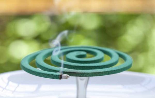 「斬新」「蚊にすごい恨みがありそう」　従業員が蚊取り線香を用意したら、こんな状態に