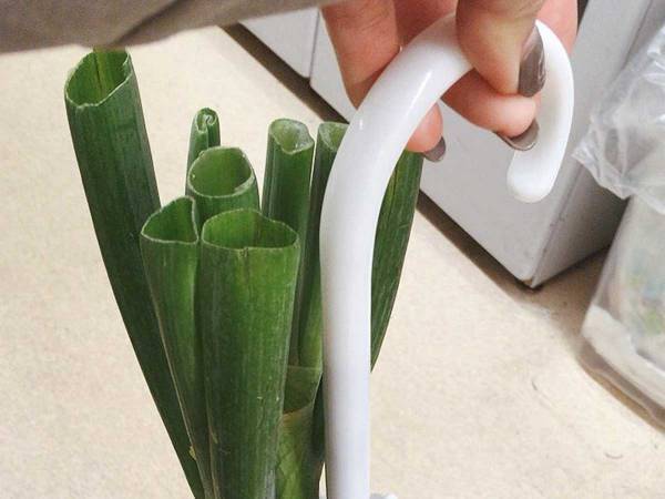 「天才なのでは？」「一周回っておしゃれ」　袋を持っていない人の『長ネギの持ち帰り方』