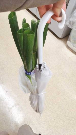 「天才なのでは？」「一周回っておしゃれ」　袋を持っていない人の『長ネギの持ち帰り方』