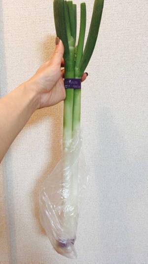 「天才なのでは？」「一周回っておしゃれ」　袋を持っていない人の『長ネギの持ち帰り方』