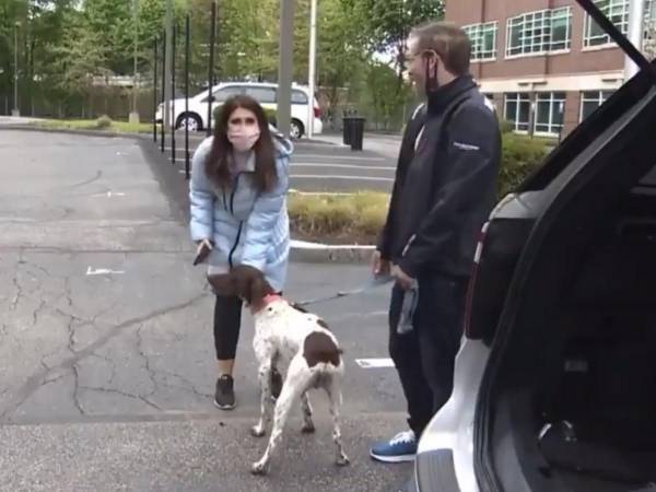 リポーターのお手柄！　盗まれた犬のリポート中、目の前を散歩していたのは？