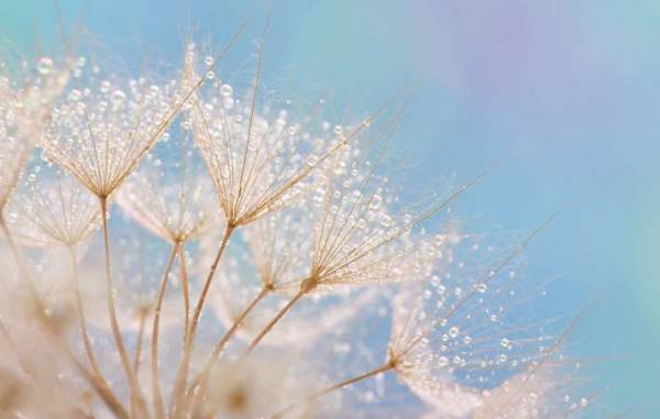 喜ばせることも、喜ぶことも愛　「与えられている」から「与える」ことができる