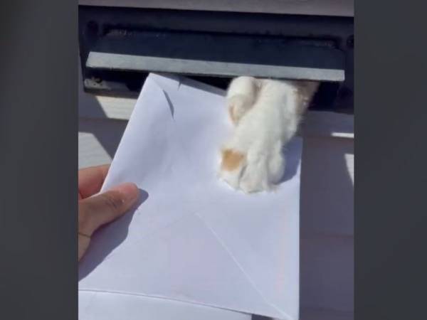 困った郵便配達員　手紙を郵便受けに入れようとすると？　「大笑いした」