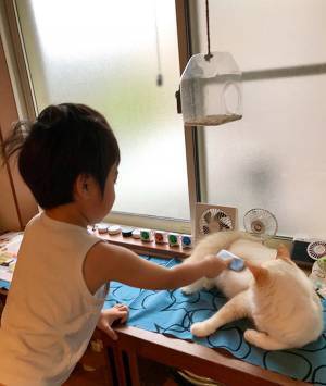 猫の抜け毛で、男の子がやったことは…？　「素晴らしい発想」「最高の光景」