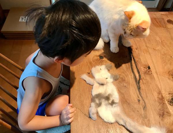 猫の抜け毛で、男の子がやったことは…？　「素晴らしい発想」「最高の光景」