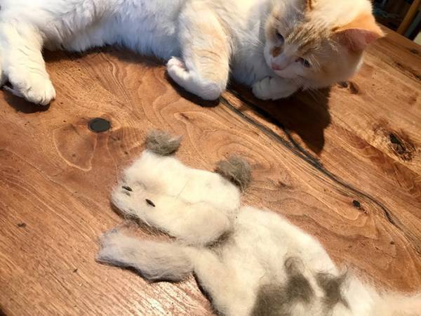猫の抜け毛で、男の子がやったことは…？　「素晴らしい発想」「最高の光景」