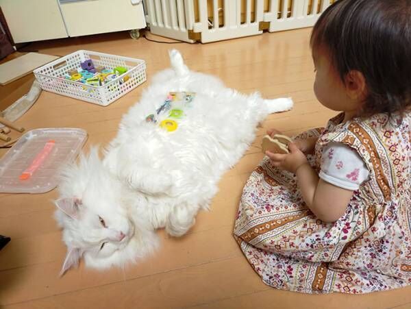 子供の遊びに付き合う愛猫、実は…？　子供と猫の関係性に心が温まる！